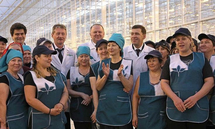 Тепличное хозяйство