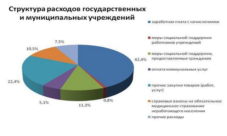 Структура расходов государственных и муниципальных учреждений