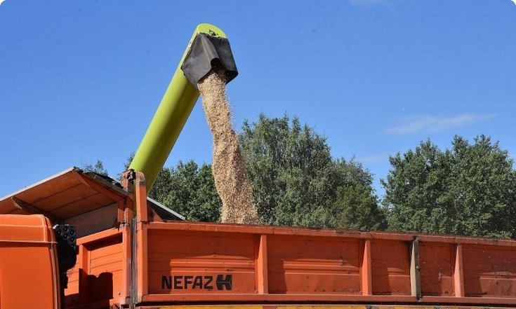 Более 47 миллионов рублей дополнительно направят производителям зерна в Свердловской области