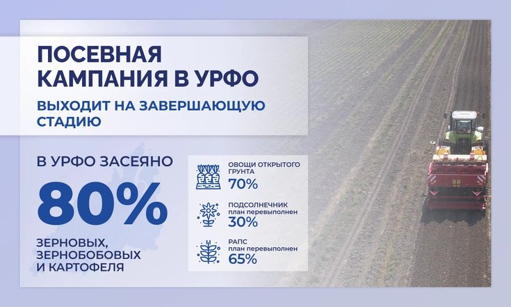 Уральские аграрии перевыполнили планы по севу подсолнечника и рапса