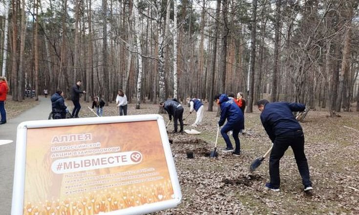 В Екатеринбурге появилась аллея акции #МыВместе