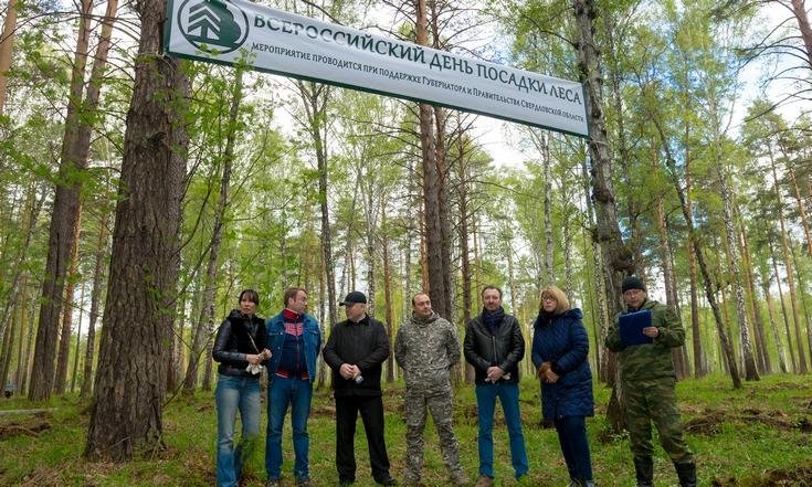 Всероссийский день посадки леса