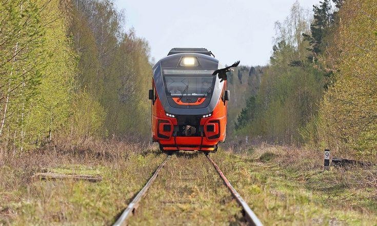 Первый туристический поезд «Орлан» отправился из Екатеринбурга в природный парк «Оленьи Ручьи»