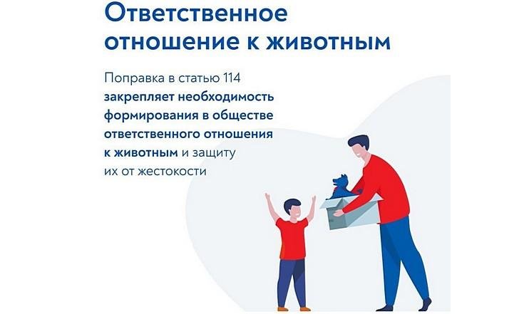 Поправки в Конституцию
