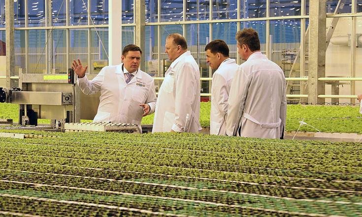 Тепличное хозяйство